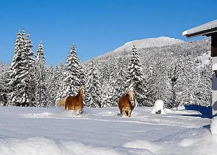 Bauernhof Niederfilzboden