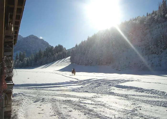 Bauernhof Niederfilzboden * Fieberbrunn