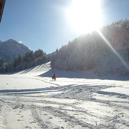 Bauernhof Niederfilzboden * 피버브룬